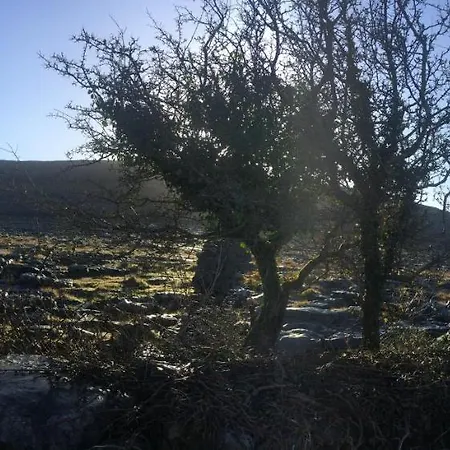 Panzió Egan's Wild Atlantic View 5*